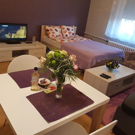 Sara - Modern Apartment In The City Center Новий Сад Екстер'єр фото