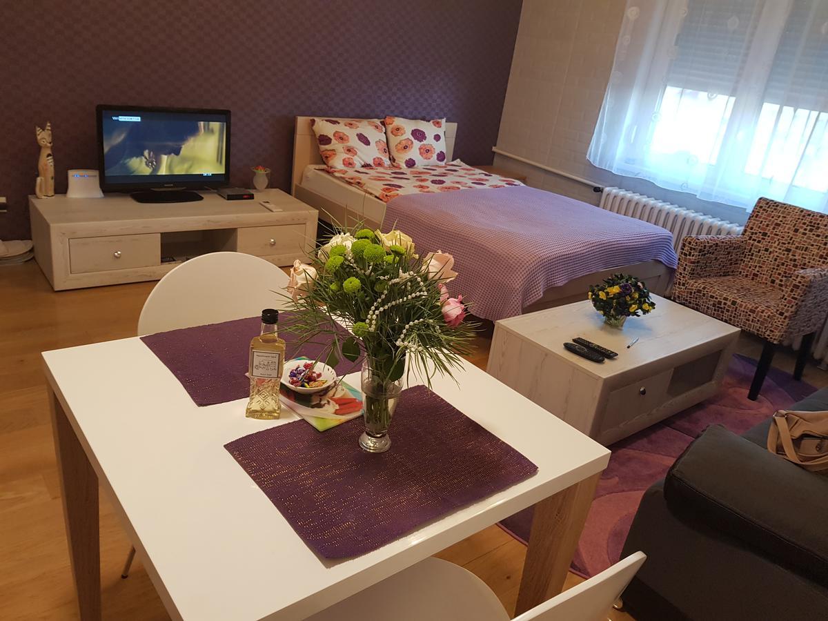 Sara - Modern Apartment In The City Center Новий Сад Екстер'єр фото